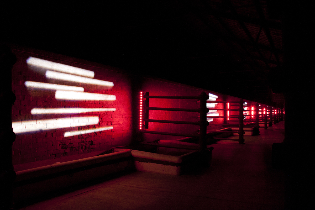 Virtual Walls